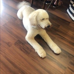 Meet your Posher, Laura